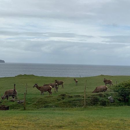 Coral Cabins Dunvegan  Kamer foto